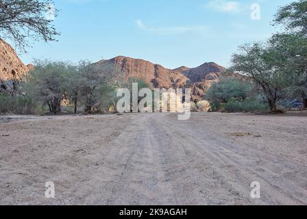 Der trockene Ugab ist ein flüchtiger Fluss in der trockenen Region Damaraland Namibia Stockfoto