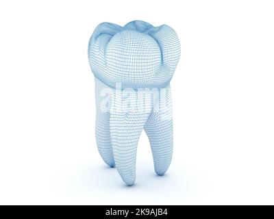 Morphologie des ersten Oberkiefermolarzahns. Abbildung „Wired 3D“ Stockfoto