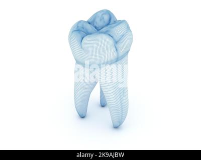 Morphologie des ersten Oberkiefermolarzahns. Abbildung „Wired 3D“ Stockfoto