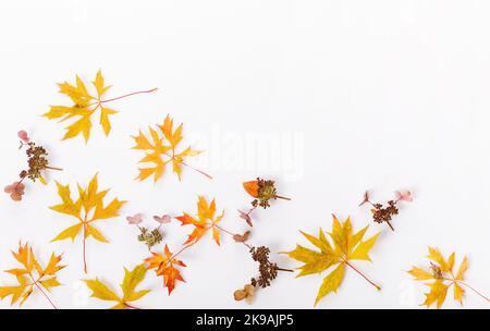 Herbstkomposition. Rahmen aus herbstlich trockenen Blättern, trockene Blüten auf weißem Hintergrund. Flach liegend, Draufsicht Stockfoto