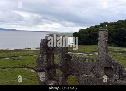 Ein Spaziergang durch Laugharne Castle in Carmarthenshire, bei dem Sie interessante Aufnahmen machen. Nummer 4034 Stockfoto