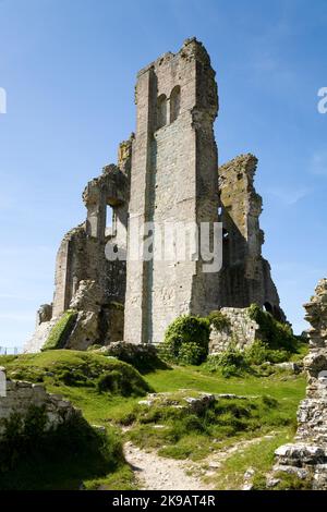 Corfe Castle, wo der Turm und der Turm Ruinen und Überreste sind, an einem schönen Sommertag mit Sonne und blauem Himmel / sonnig klaren Himmel. Dorset. VEREINIGTES KÖNIGREICH. (64) Stockfoto