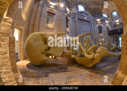 Foligno (Italien) - Eine schöne mittelalterliche Stadt in Umbrien, Mittelitalien Stockfoto