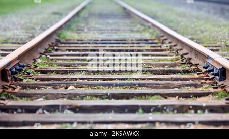 Selektive Fokusrundung der Eisenbahn verrostet, mit Gras und Moos überwuchert. Leere einspurige Bahn. Flache Fokusperspektive Stockfoto