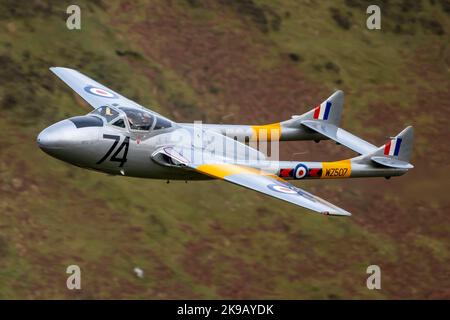 de Havilland Vampire Stockfoto