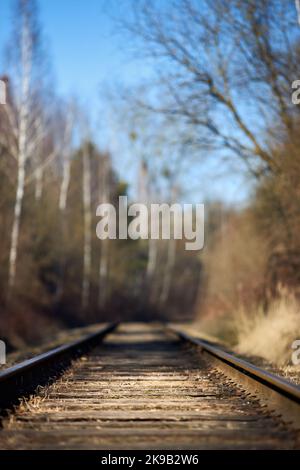 Selektiver Fokus auf gerade Bahn verlassen rostig in der Nähe von Frühlingswald. Leere einspurige Bahn. Perspektivenansicht mit flachem Fokus Stockfoto