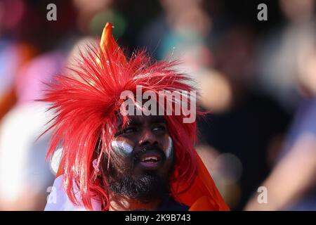 27.. Oktober 2022; Sydney Cricket Ground NSW, Australien: World Cup Cricket T20, Niederlande gegen Indien: Niederlande-Fan Stockfoto