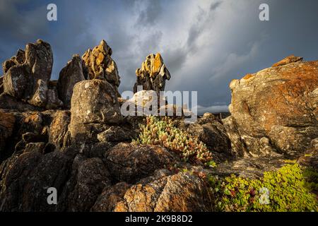 Küstenfelsen vor stürmischem Himmel, Hermanus, Whale Coast, Overberg, Western Cape, Südafrika. Stockfoto