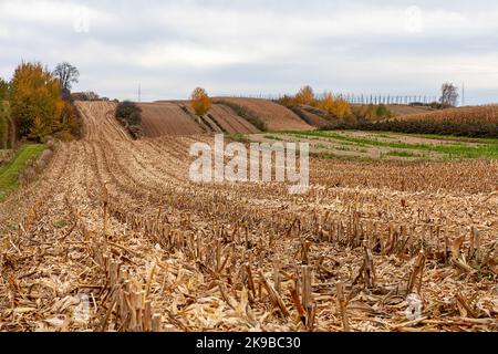 Schöne Landschaft auf dem Land an einem sonnigen Oktobertag. Polen Stockfoto
