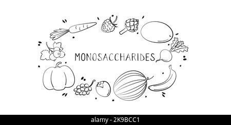 Einsaccharidhaltige Lebensmittel. Gruppen von gesunden Lebensmitteln mit Vitaminen und Mineralstoffen. Set aus Obst, Gemüse, Fleisch, Fisch und Milchprodukten. Stock Vektor