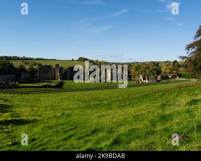 Blick auf die Ruinen der Easby Abbey Richmond North Yorkshire England Großbritannien eine ruinierte prämonstratensische Abtei am östlichen Ufer des Flusses Swale Stockfoto