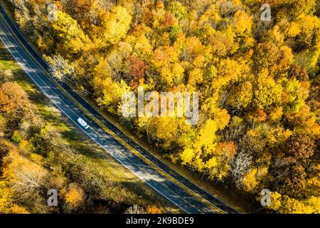 Luftbild des schönen Herbstfarben Wald Stockfoto