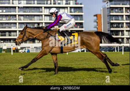 Aktenfoto vom 12-02-2022 von Bravemansgame unter dem Jockey Harry Cobden. Bravemansgame wird in einer weiteren Ausgabe seiner Serie von Schlachten mit Ahoy Senor in der Charlie Hall Chase bet365 in Wetherby an die Spitze geholt. Ausgabedatum: Donnerstag, 27. Oktober 2022. Stockfoto