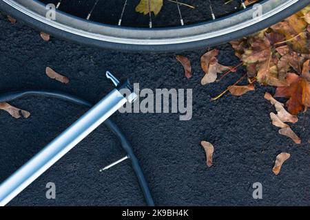 Ein Fahrrad Rad, Pumpe und Schlauch im Herbst Stockfoto