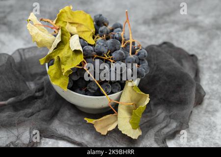 Frische dunkelblau violette Traube in Teller auf grauem Hintergrund. Stockfoto