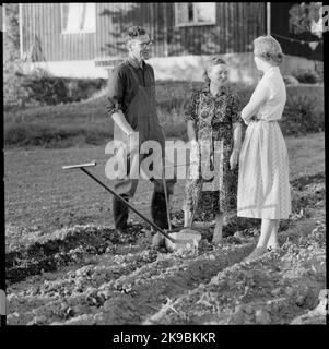 Ein TGOJ-Mitarbeiter zu Hause auf seinem Bauernhof mit seiner Familie am Handpflug. Verkehrsgesellschaft Grängesberg-Oxelösund Railways, TGOJ. Stockfoto