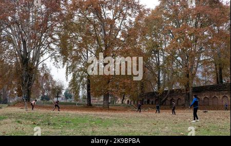 Srinagar, Kaschmir, Indien. 27. Oktober 2022. Kashmiri-Jungen wurden während der Herbstsaison in Srinagar, der indischen Seite von Kaschmir, Cricket spielen gesehen. (Bild: © Adil Abbas/ZUMA Press Wire) Stockfoto