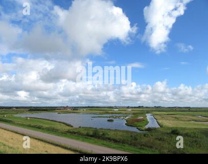 De Petten auf Watteninsel Texel, Niederlande. Eine kleine Wetland Reserve eine große Kolonie von Vögeln im Frühjahr und im Sommer. Öffentliche Straße im foregro Stockfoto