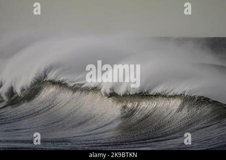 Große Wellen mit Wind sprühen. Nördlichen portugiesischen Küste. Stockfoto