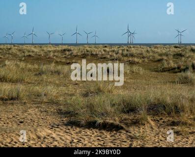 Windpark Scroby Sands vor der Küste von Great Yarmouth in Norfolk Stockfoto