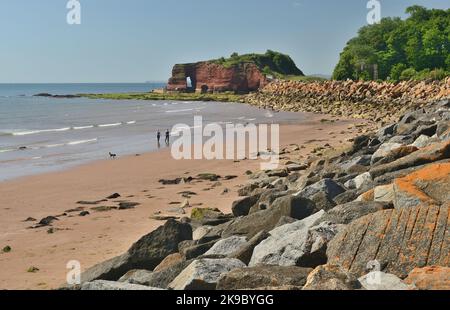 Langstone Rock und Felsrüstung entlang der Ufermauer bei Dawlish Warren. Stockfoto