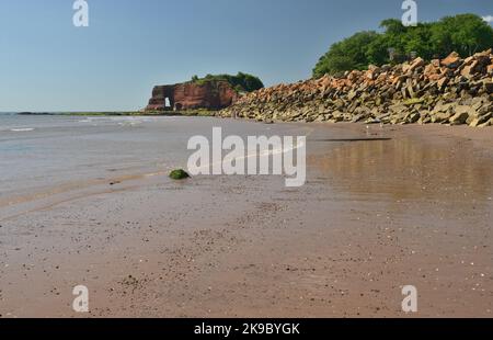 Langstone Rock und Felsrüstung entlang der Ufermauer bei Dawlish Warren. Stockfoto