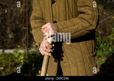 Die Hände des alten Mannes. Alter Mann hält Stock. Schlechte Kleidung. Ältere Menschen arbeiten an Land. Männlich 92 Jahre alt. Stockfoto