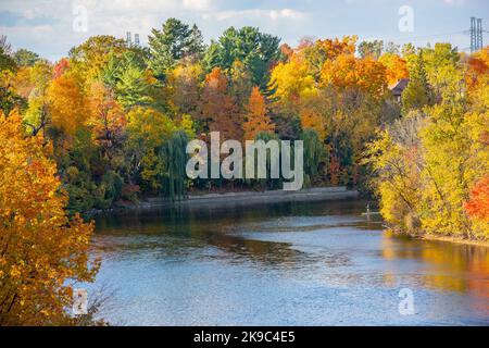 Lebendige Farben des Oktober. Weite Panoramablick auf eine schöne gelb orange Herbst Morgen Park mit üppigen Bäumen im Flusswasser reflektiert. Stockfoto