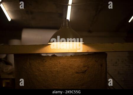 Lampe hängt an der Decke. Die Lampe leuchtet im Innenbereich. Details zur Innenausstattung. Warmes Licht. Stockfoto