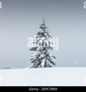 Fantastische Landschaft mit einem einsamen verschneiten Baum im Winter. Minimalistischer Szene in trüben und nebligen Wetter Stockfoto