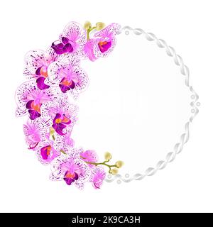 Blumen Vektor runden Rahmen mit Orchideen lila und weißen Blumen tropischen Pflanzen Phalaenopsis vintage festlich Hintergrund Vektor Illustration Hand dr Stock Vektor