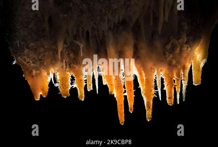 Formationen in Grotte de la Toussaint, Frankreich Stockfoto