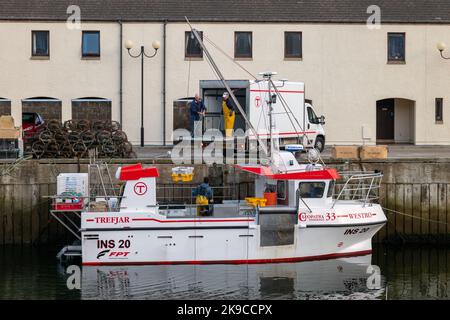 Lossiemouth, Moray, Großbritannien. 27. Oktober 2022. Dies ist der Shellfish, der vom Fishing Boat Westro INS20 am Pier in Lossiemouth Harbour ausgeladen wird. Alle Fänge stammten von Kreelen in der Umgebung von Lossiemouth im Moray Firth. Quelle: JASPERIMAGE/Alamy Live News Stockfoto