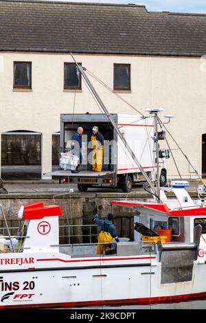 Lossiemouth, Moray, Großbritannien. 27. Oktober 2022. Dies ist der Shellfish, der vom Fishing Boat Westro INS20 am Pier in Lossiemouth Harbour ausgeladen wird. Alle Fänge stammten von Kreelen in der Umgebung von Lossiemouth im Moray Firth. Quelle: JASPERIMAGE/Alamy Live News Stockfoto