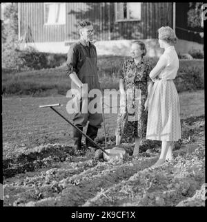 Ein TGOJ-Mitarbeiter zu Hause auf seinem Bauernhof mit seiner Familie am Handpflug. Verkehrsgesellschaft Grängesberg-Oxelösund Railways. Stockfoto