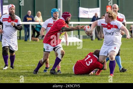 England übernahm Wales bei der Rugby League-Weltmeisterschaft für körperliche Behinderungen 2022 im Victoria Park, Warrington. Tommy Pouncey entlastet sich, wenn er in Angriff genommen wird Stockfoto