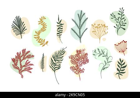 Vektor abstrakte botanische Kompositionen. Vorlage für die Highlights der Boho-Geschichte. Set aus abstrakten Blättern und Zweigen. Vektorgrafik Stock Vektor