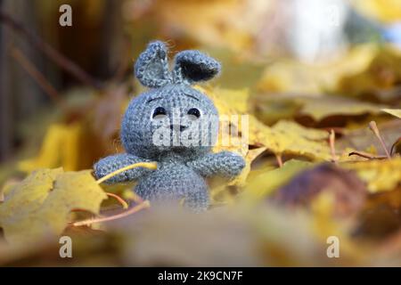 Graues gestricktes Kaninchen auf Ahornblättern im Herbstpark. Festliche Karte mit Spielzeug, Strickkonzept Stockfoto