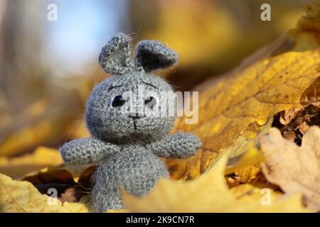 Graues gestricktes Kaninchen auf Ahornblättern im Herbstpark. Festliche Karte mit Spielzeug, Strickkonzept Stockfoto