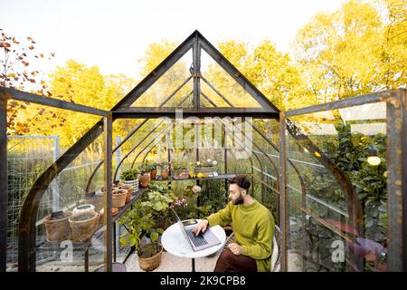 Mann arbeitet fernab auf Laptop im Glashaus im Hinterhof Stockfoto