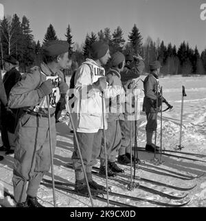 Der operative Verteidigungshof, Tomnäs Stockfoto