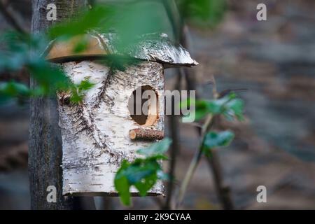 Ein altes Vogelhaus aus Holz auf einem Baum in einem Park. Ein einfaches Design eines Vogelhauses aus Birkenstämmen auf einem Baum Stockfoto