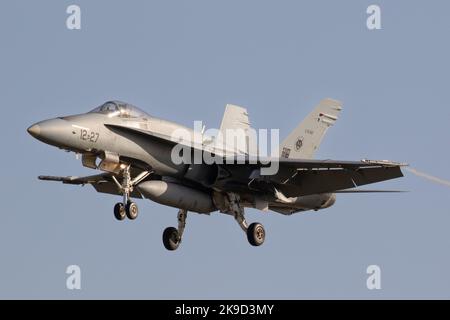 Die Hornets der spanischen Luftwaffe landen während der SIRIO 22-Übung auf dem Luftwaffenstützpunkt Gando. Stockfoto