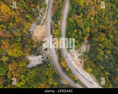 Luftaufnahme einer kurvenreichen Straße von einem hohen Bergpass durch einen dichten bunten Herbstwald. Stockfoto