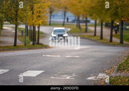 Zebra überquert auf einer schmalen Straße mit dem Auto nähert Stockfoto