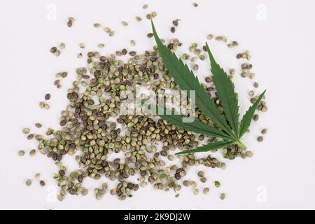 Hanfsamen und grünes Cannabisblatt auf weißem Hintergrund. Stockfoto