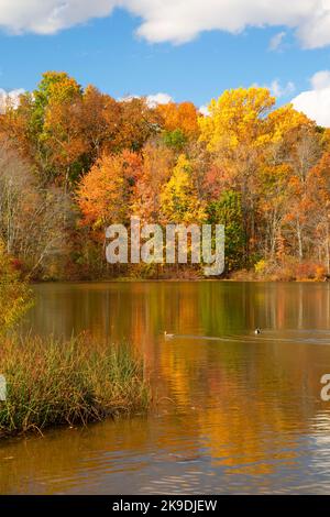 Batterson Park Teich, Batterson Park Pond State Bootsanleger, New Britain, Connecticut Stockfoto