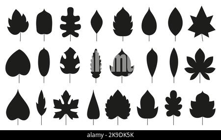 Flaches Icon-Set mit schwarzer Blattsilhouette. Eco Natur Bio-Blätter aus Eiche Birke Ahorn, Monstera, Pappel Esche Espe Kastanie. Kontursprossen isoliert auf Weiß. Waldpflanzen Laub Kräuter Laub Baum Stock Vektor