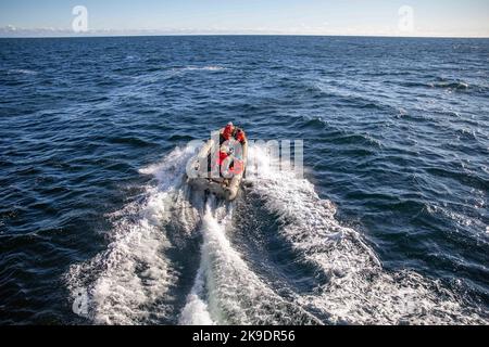 OSTSEE (Okt 19, 2022) während des Schiffsbetriebs, 19. Oktober 2022, rasten Matrosen vom Arleigh Burke-Klasse-Lenkraketen-Zerstörer USS Roosevelt (DDG 80) auf einem aufblasbaren Starrrumpfboot (RHIB) ab. Roosevelt befindet sich im geplanten Einsatzgebiet der US Naval Forces Europe, das von der Sechsten Flotte der USA eingesetzt wird, um die Interessen der USA, der Alliierten und der Partner zu verteidigen. (USA Navy Foto von Mass Communication Specialist 2. Class Danielle Baker/veröffentlicht) Stockfoto