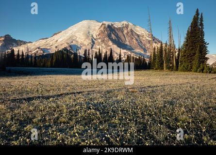 WA22570-00...WASHINGTON - Mount Rainier an einem frostigen Sommermorgen vom Grand Park im Mount Rainier National Park aus gesehen. Stockfoto